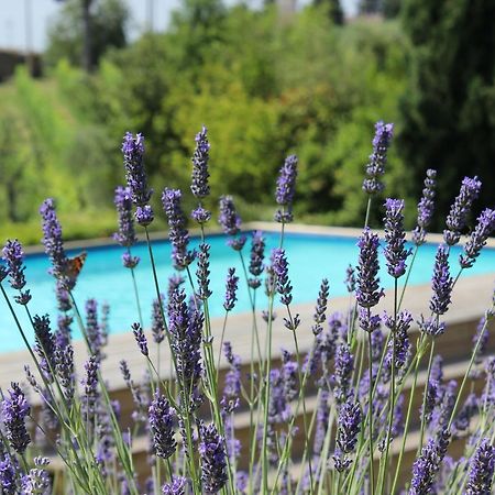 Villa Privata Per Famiglie O Amici Барберино-Валь-д'Эльса Экстерьер фото